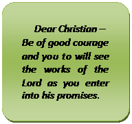 Double Bracket: Dear Christian –  Be of good courage and you to will see the works of the Lord as you enter into his promises.    